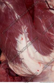 Photo Textures of RAW Pork Meat